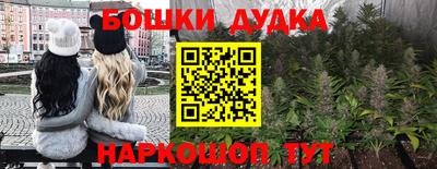 индика Конаково