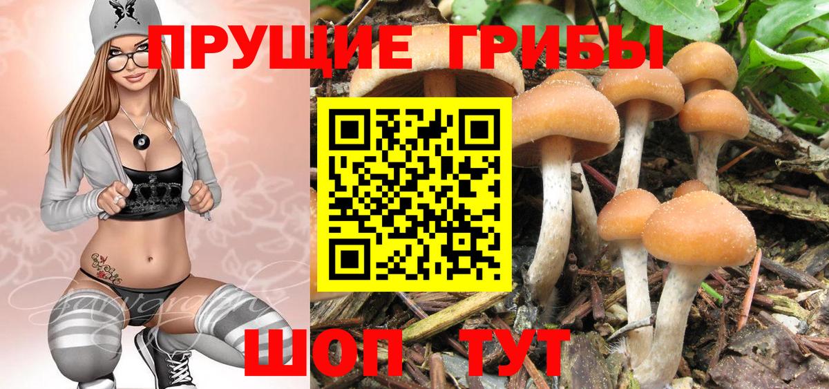 Псилоцибиновые грибы прущие грибы Краснодар