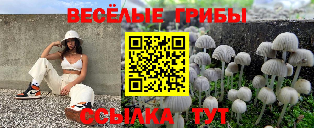 Псилоцибиновые грибы Magic Shrooms  Вход с VPN  Краснодар 